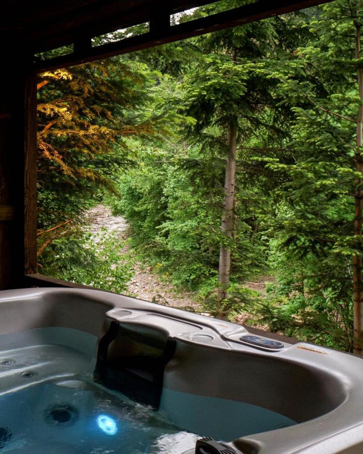Bystre  Novosiele Residence - Nad Gorska Rzeka - Lesne Spa Sauna Jacuzzi - Bieszczady מראה חיצוני תמונה