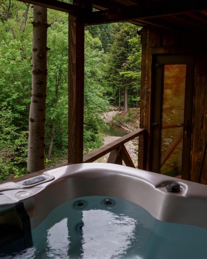 Bystre  Novosiele Residence - Nad Gorska Rzeka - Lesne Spa Sauna Jacuzzi - Bieszczady מראה חיצוני תמונה