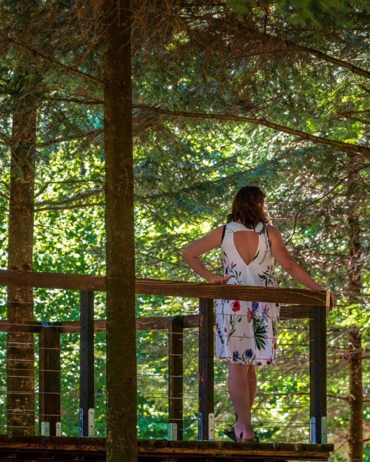 Bystre  Novosiele Residence - Nad Gorska Rzeka - Lesne Spa Sauna Jacuzzi - Bieszczady מראה חיצוני תמונה